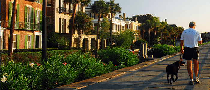 Street Lined with Luxury Real Estate in Charleston, SC
