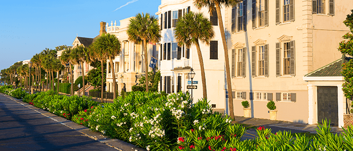 Street Lined with Luxury Properties in Charleston, SC